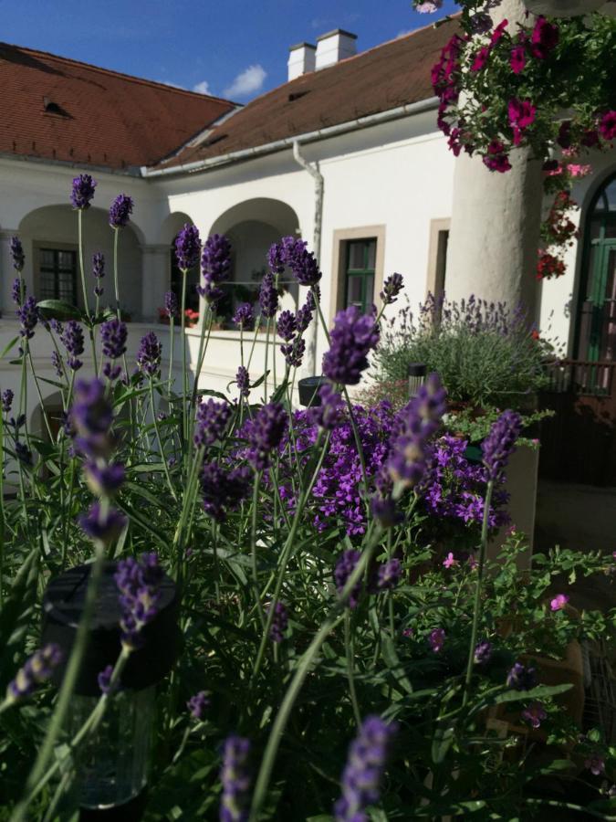 Forst-Ház Apartman Eger Exterior foto